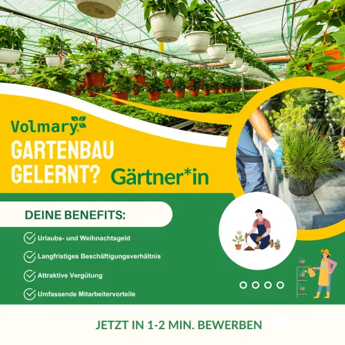Meta ad by Volmary: trained in horticulture? Gardener wanted