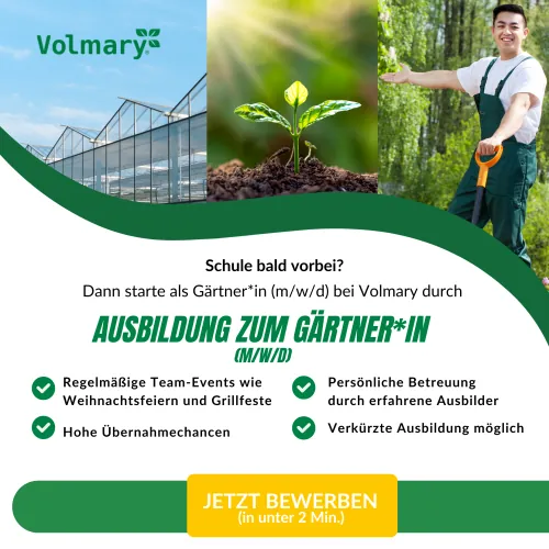 Meta ad by Volmary: apprenticeship as a gardener, with benefits